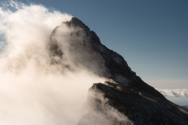 La Grande Moucherolle